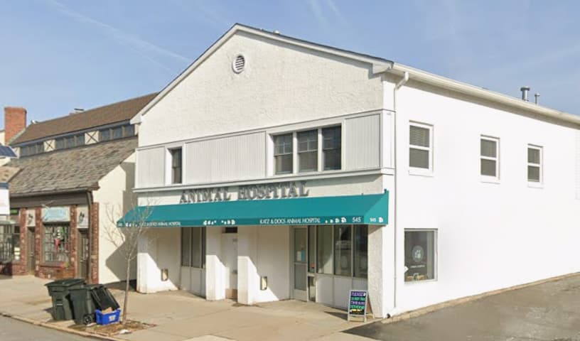 Katz & Dogs Animal Hospital