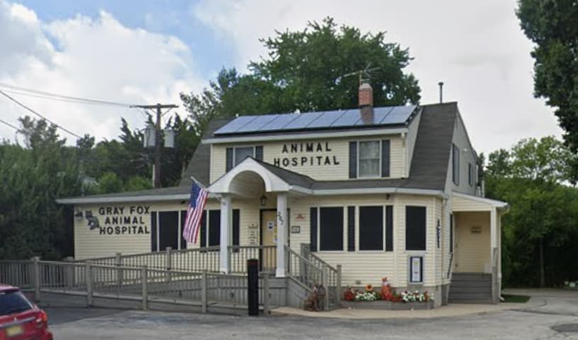 Gray Fox Animal Hospital