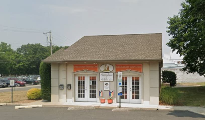 Marmalade & Mobile Vet