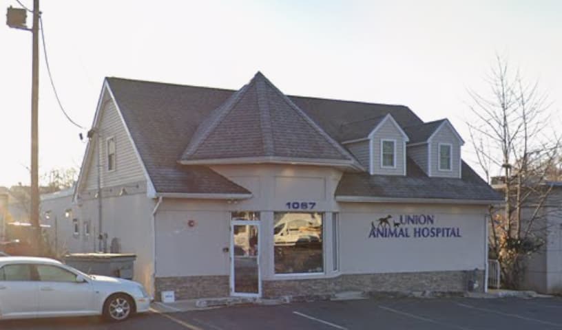 Union Animal Hospital