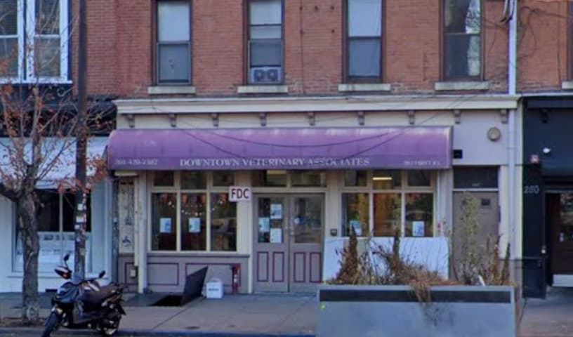 Downtown Veterinary Associates