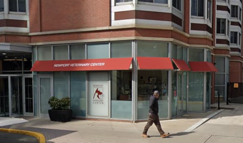 Newport Animal Hospital