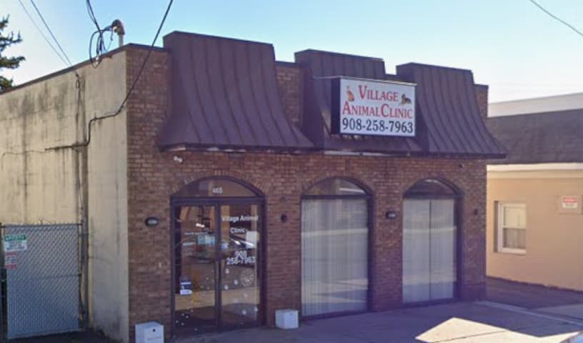 Village Animal Clinic, LLC