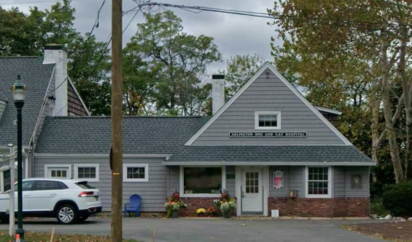 Arlington Dog & Cat Hospital