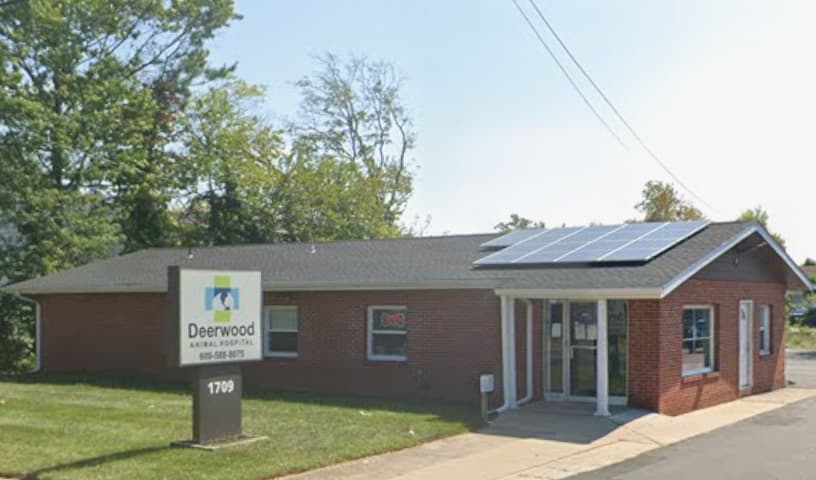 Deerwood Animal Hospital