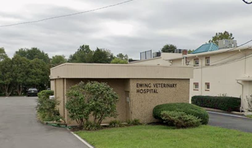 Ewing Veterinary Hospital
