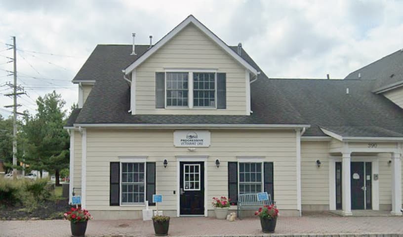 Progressive Veterinary Care