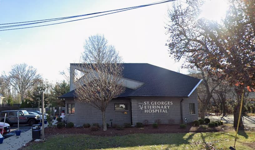 St Georges Veterinary Hospital