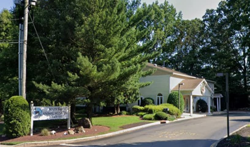 Route 516 Animal Hospital