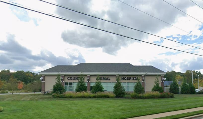 Country Animal Hospital