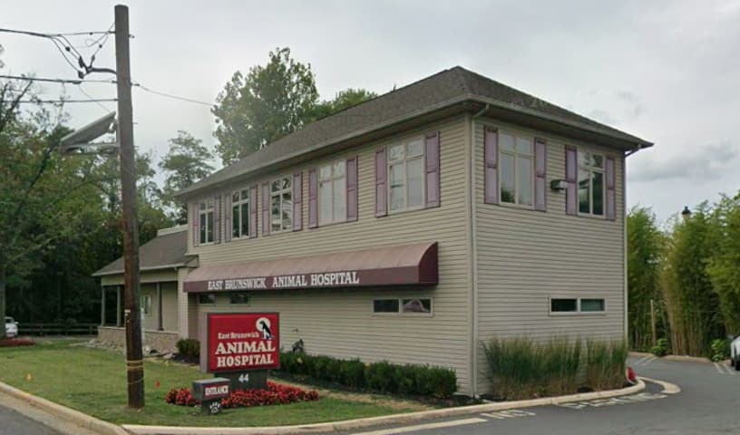 East Brunswick Animal Hospital