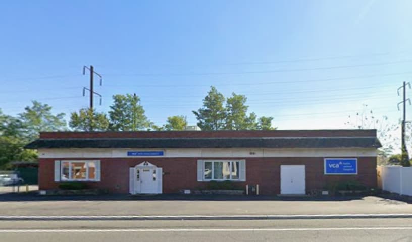 VCA Iselin Animal Hospital