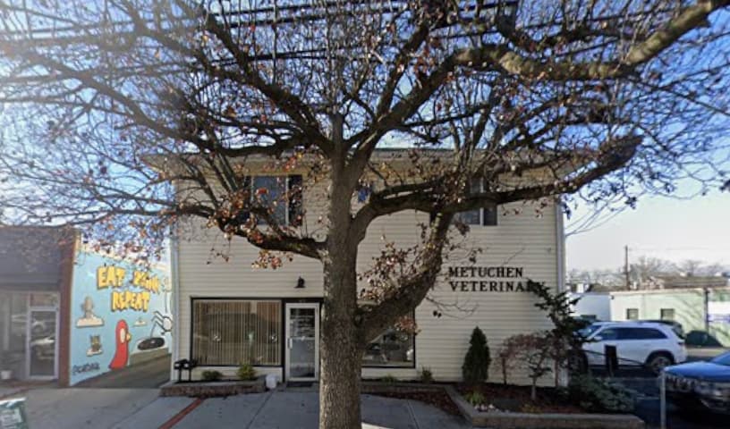 Metuchen Veterinary Hospital