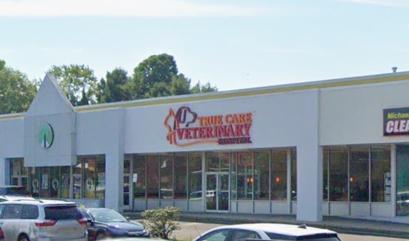 True Care Veterinary Hospital