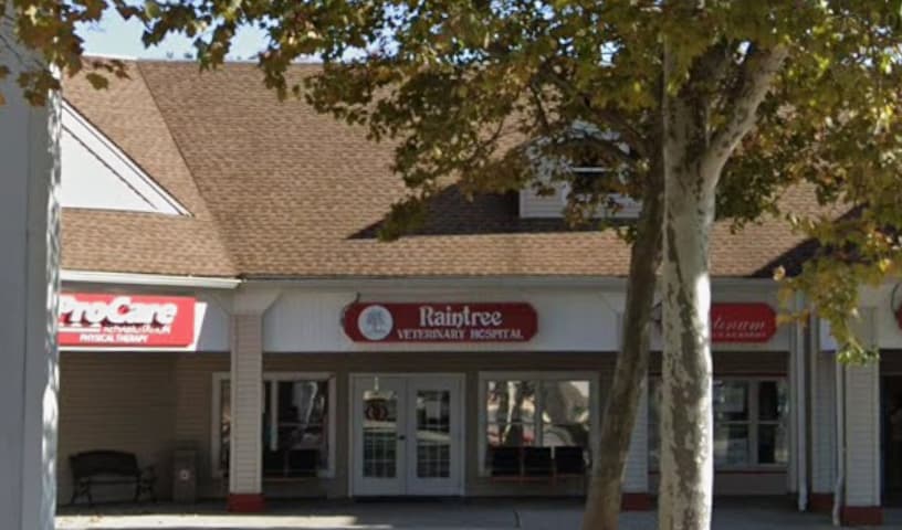 Raintree Veterinary Hospital