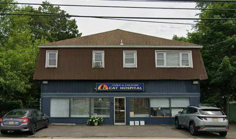 Town & Country Veterinary Cat Hospital