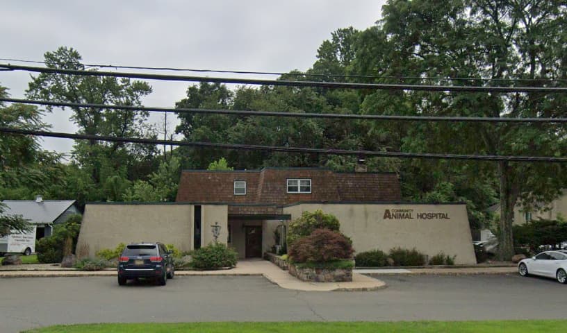 Community Animal Hospital