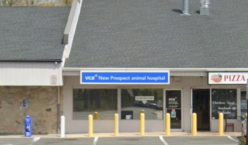 VCA New Prospect Animal Hospital