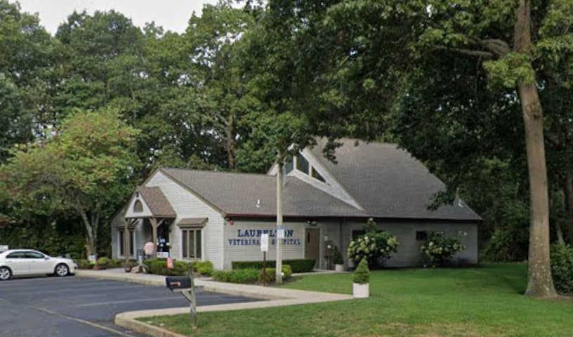Laurelton Veterinary Hospital
