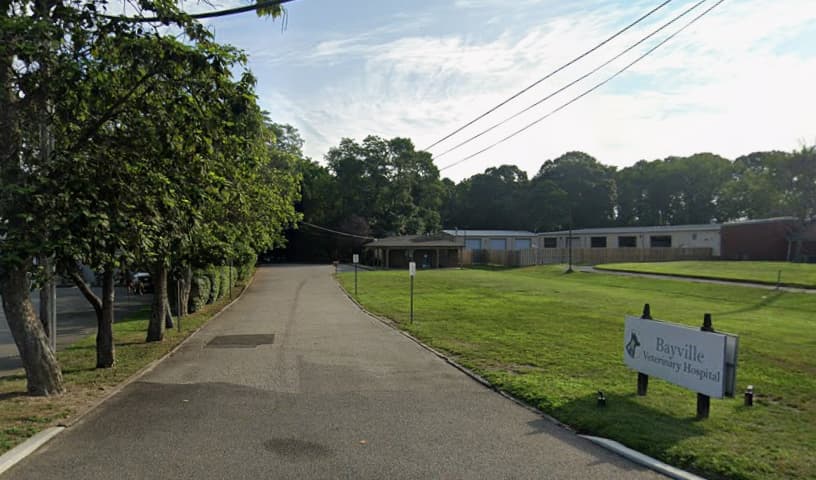 Bayville Veterinary Hospital