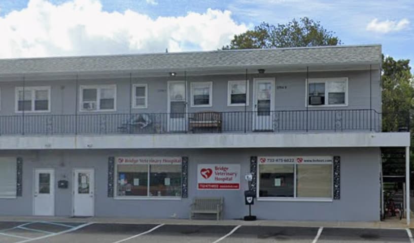Bridge Veterinary Hospital