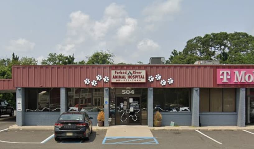 Forked River Animal Hospital