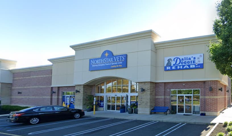NorthStar VETS