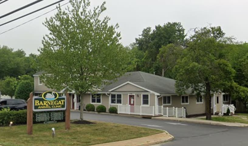 Barnegat Animal Clinic