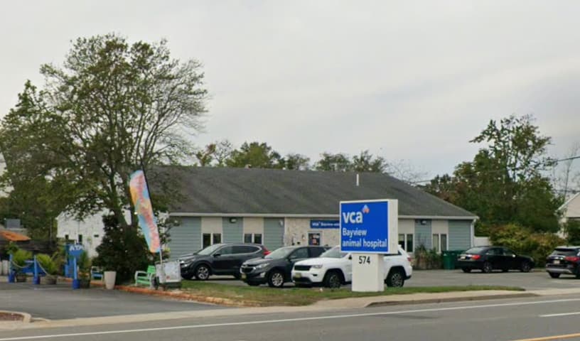 Bayview Animal Hospital