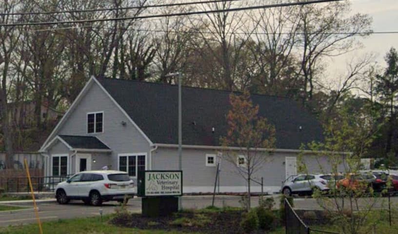 Jackson Veterinary Hospital