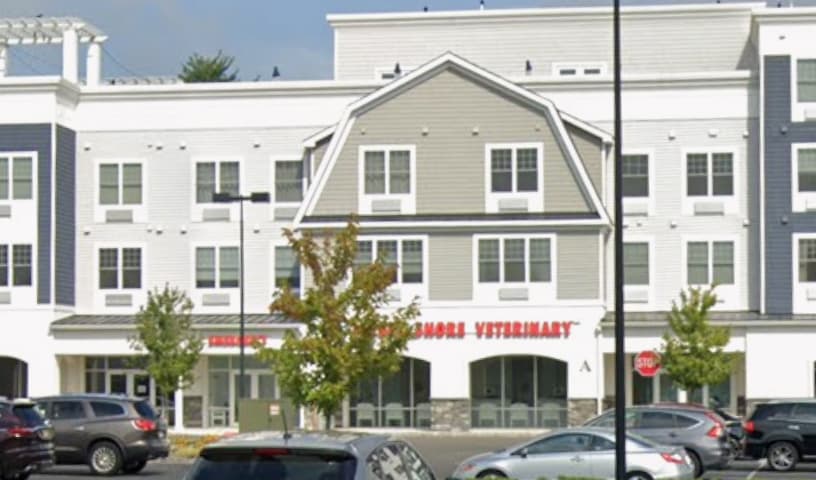 Jersey Shore Veterinary Hospital