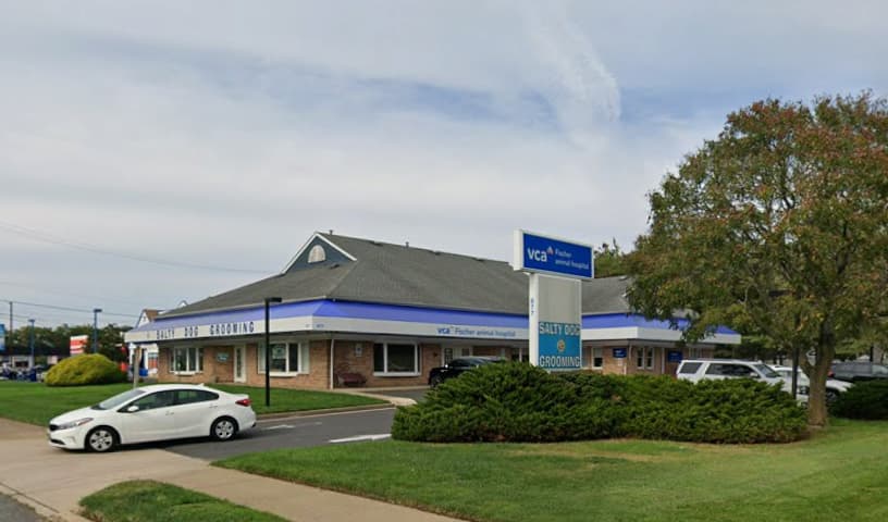 VCA Fischer Animal Hospital
