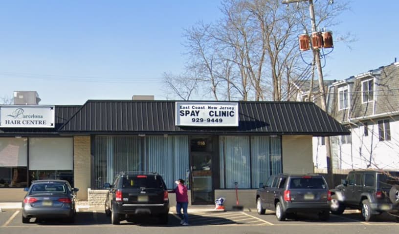 East Coast Nj Spay Clinic