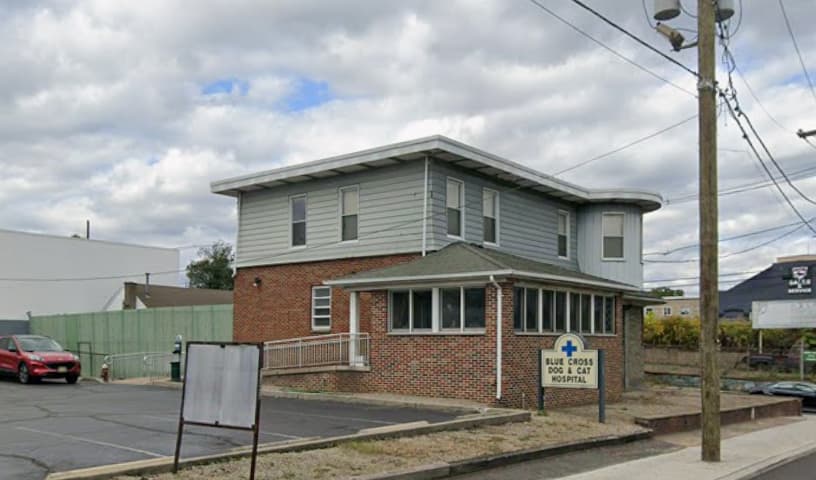 Blue Cross Dog & Cat Hospital