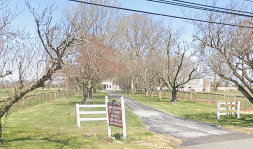 Mannington Veterinary Hospital
