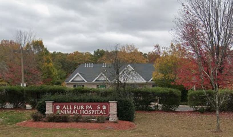 All Fur Paws Animal Hospital
