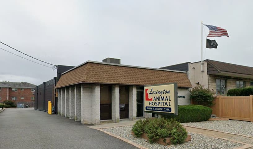 Lexington Animal Hospital