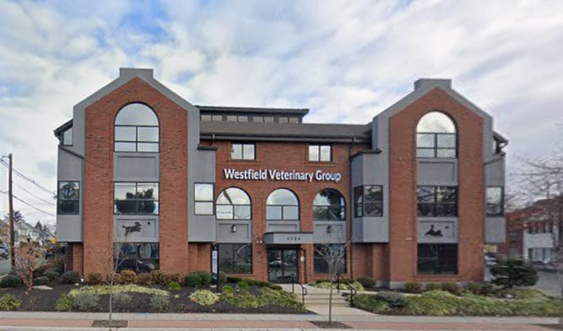 Westfield Veterinary Group