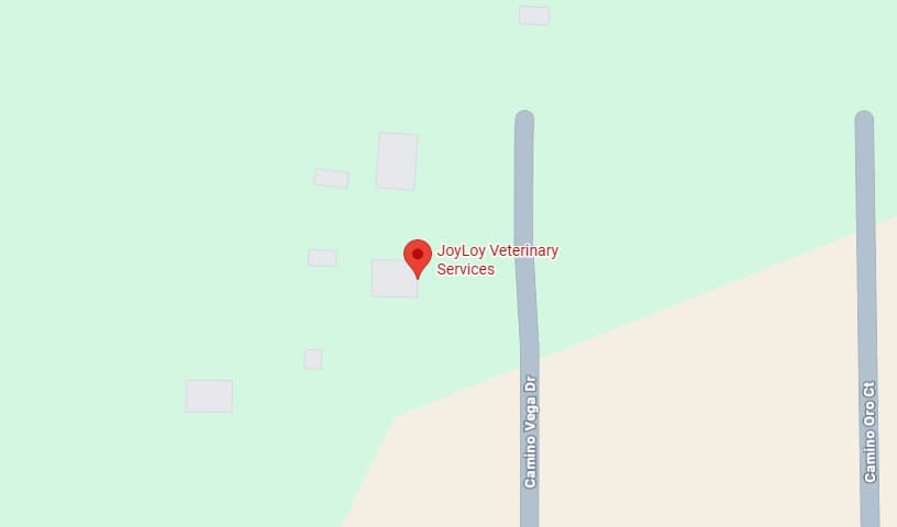 JoyLoy Veterinary Services