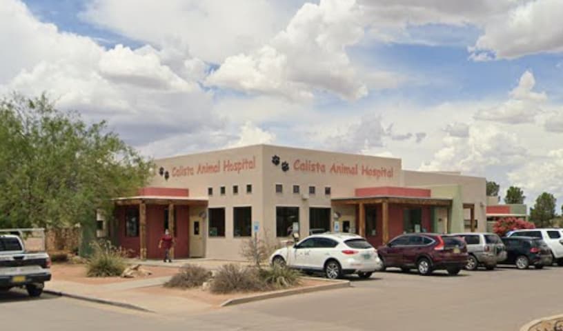 Calista Animal Hospital