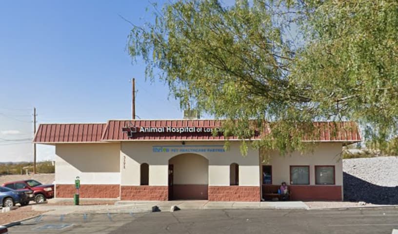 Animal Hospital of Las Cruces