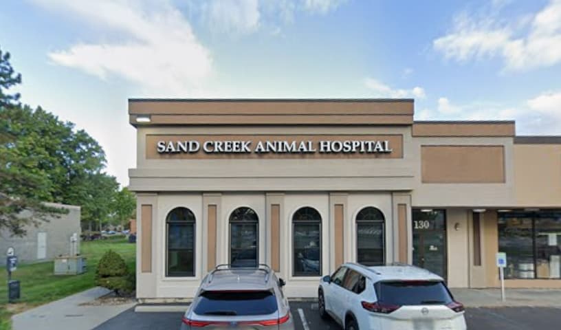 Sand Creek Animal Hospital