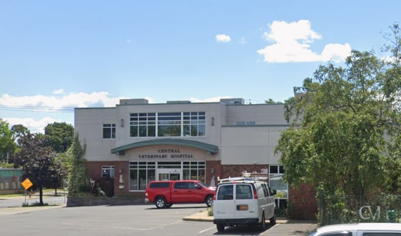 Central Veterinary Hospital