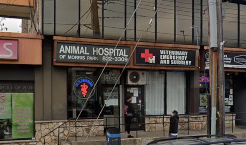 Animal Hospital of Morris Park