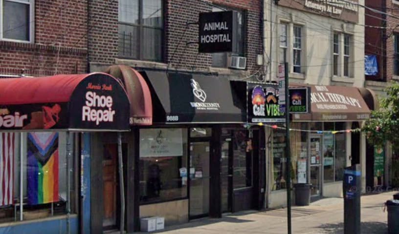 Bronx County Animal Hospital