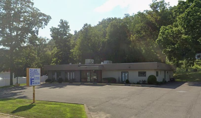 Fur and Feathers Veterinary Care