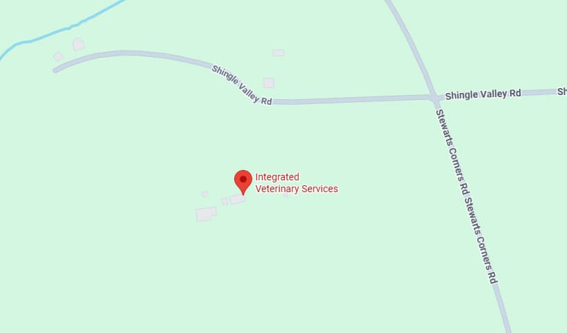 Integrated Veterinary Services