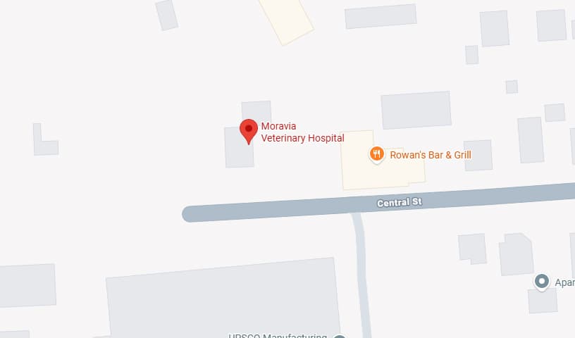 Moravia Veterinary Hospital