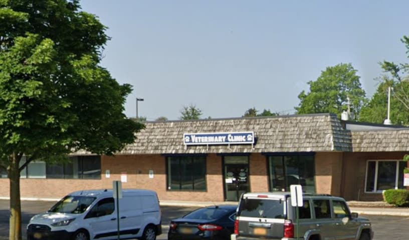 Westfield Whiskers Veterinary Hospital