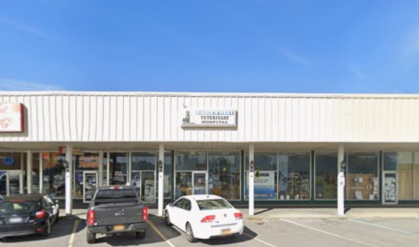 Eagle's Nest Veterinary Hospital